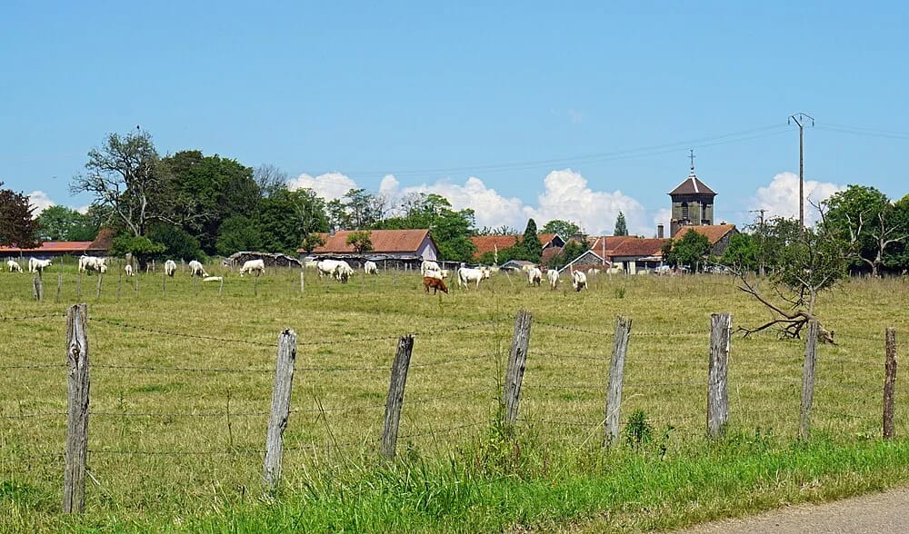 Panneaux solaires à Servigney