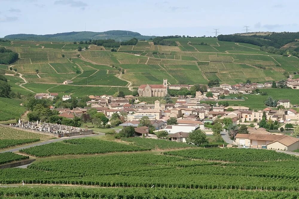 Panneaux solaires à Fuissé
