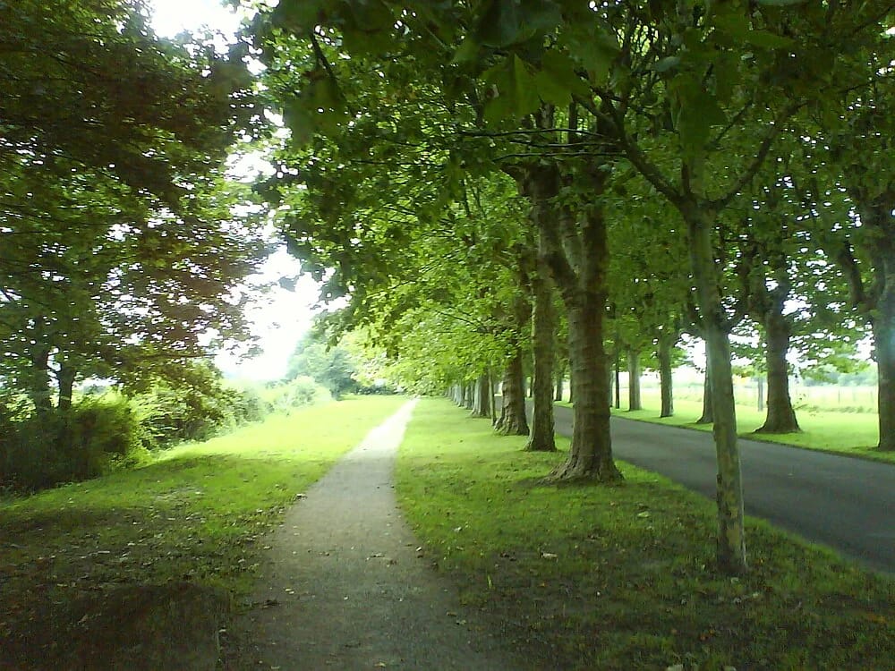 Panneaux solaires à Varennes-le-Grand