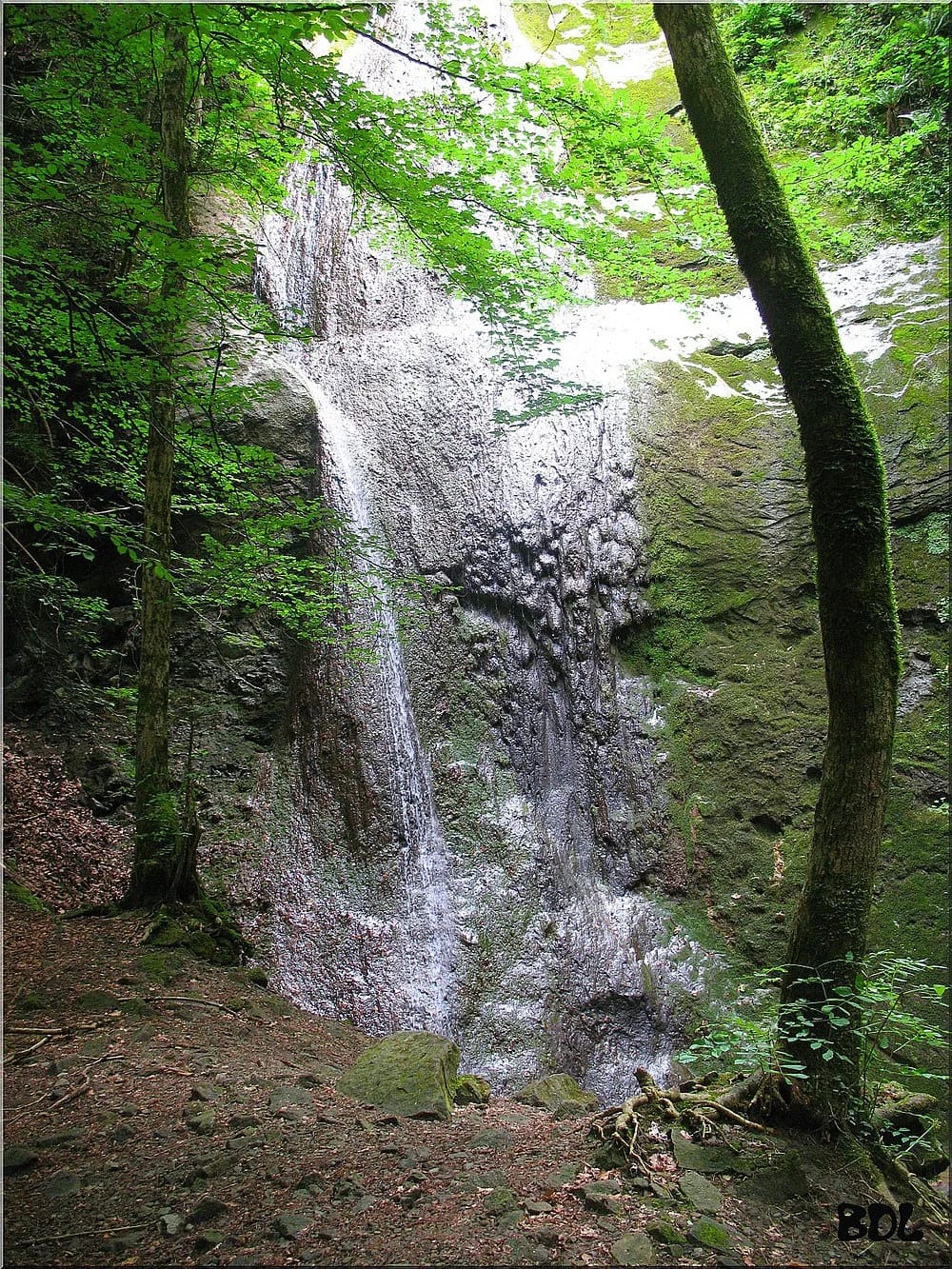 Panneaux solaires à Brenthonne