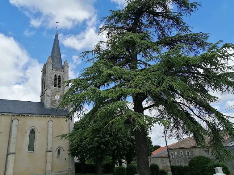 Panneaux solaires à Sansais