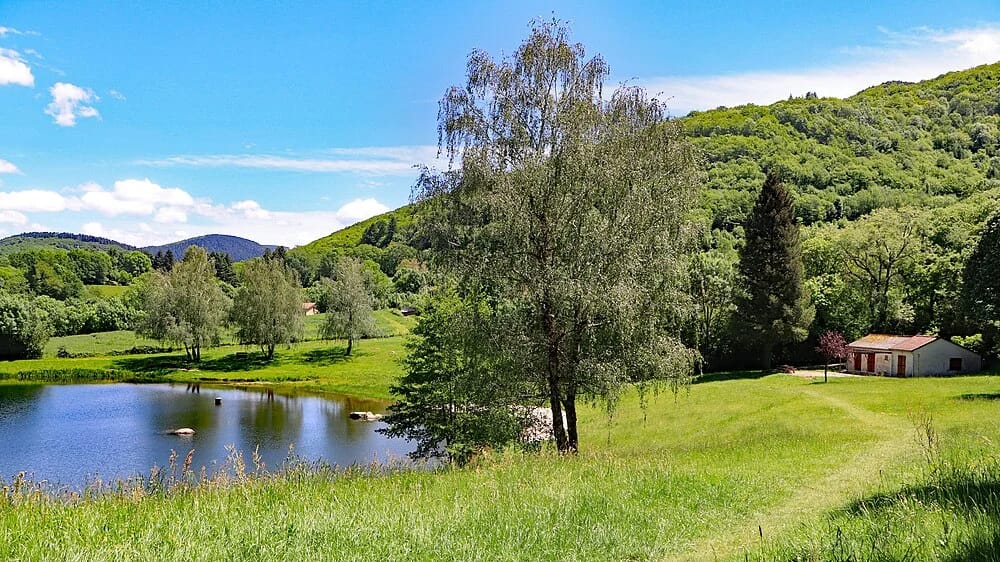 Panneaux solaires à Albine