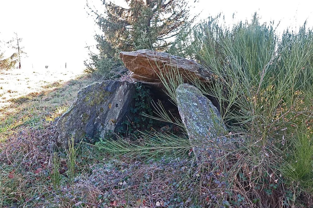 Panneaux solaires à Crespin