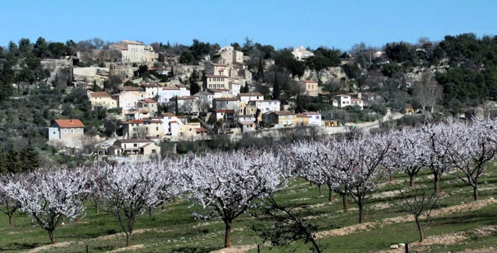 Panneaux solaires à Roque-sur-Pernes