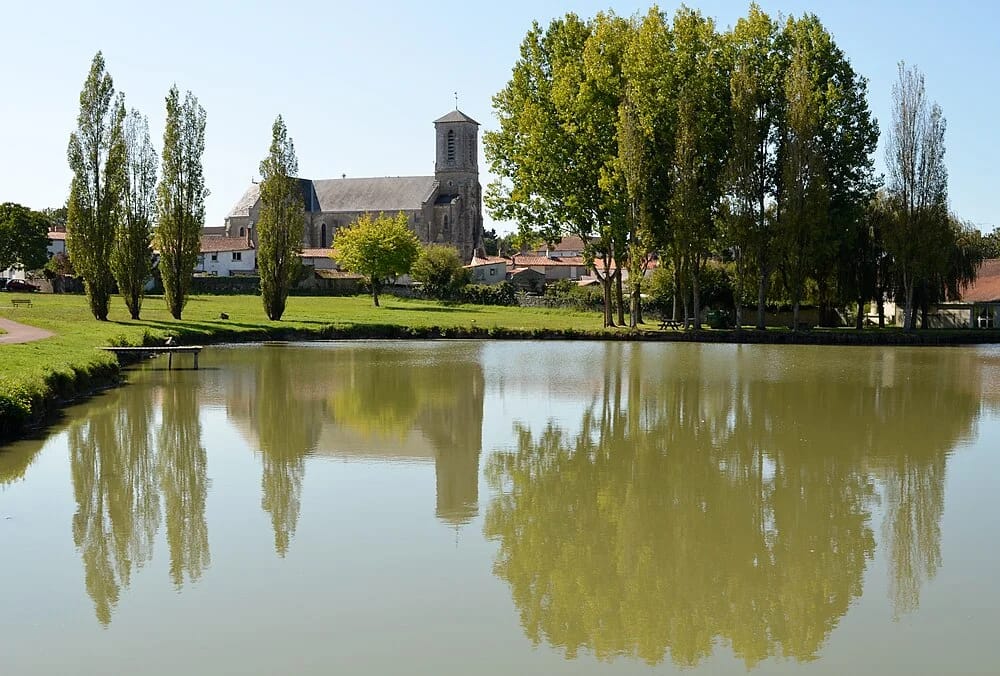 Panneaux solaires à Palluau