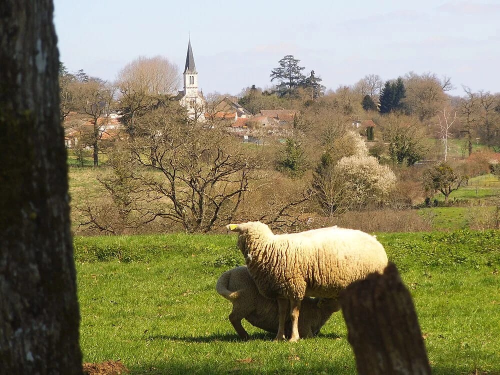 Panneaux solaires à Luchapt