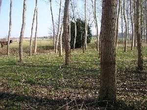 Panneaux solaires à Orches