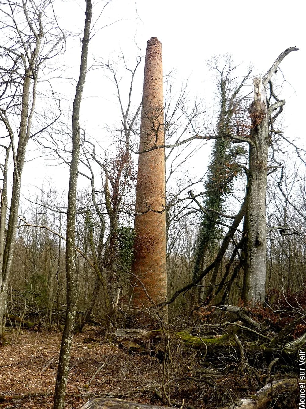Panneaux solaires à Moncel-sur-Vair