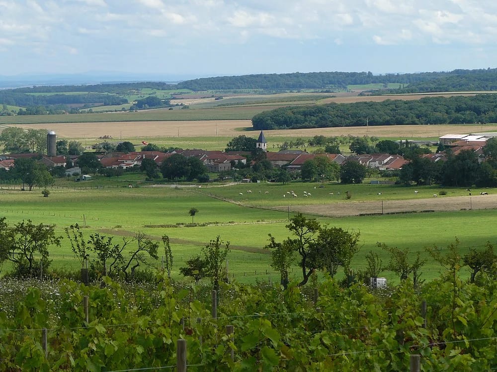 Panneaux solaires à Oëlleville
