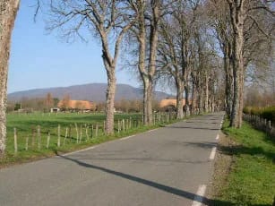 Panneaux solaires à Petitefontaine