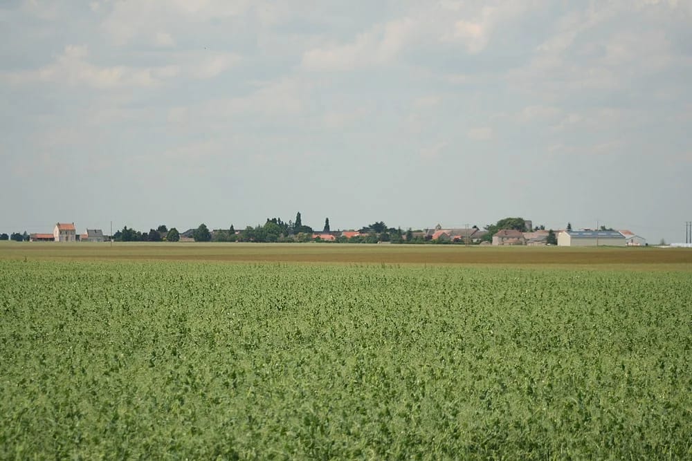 Panneaux solaires à Congerville-Thionville