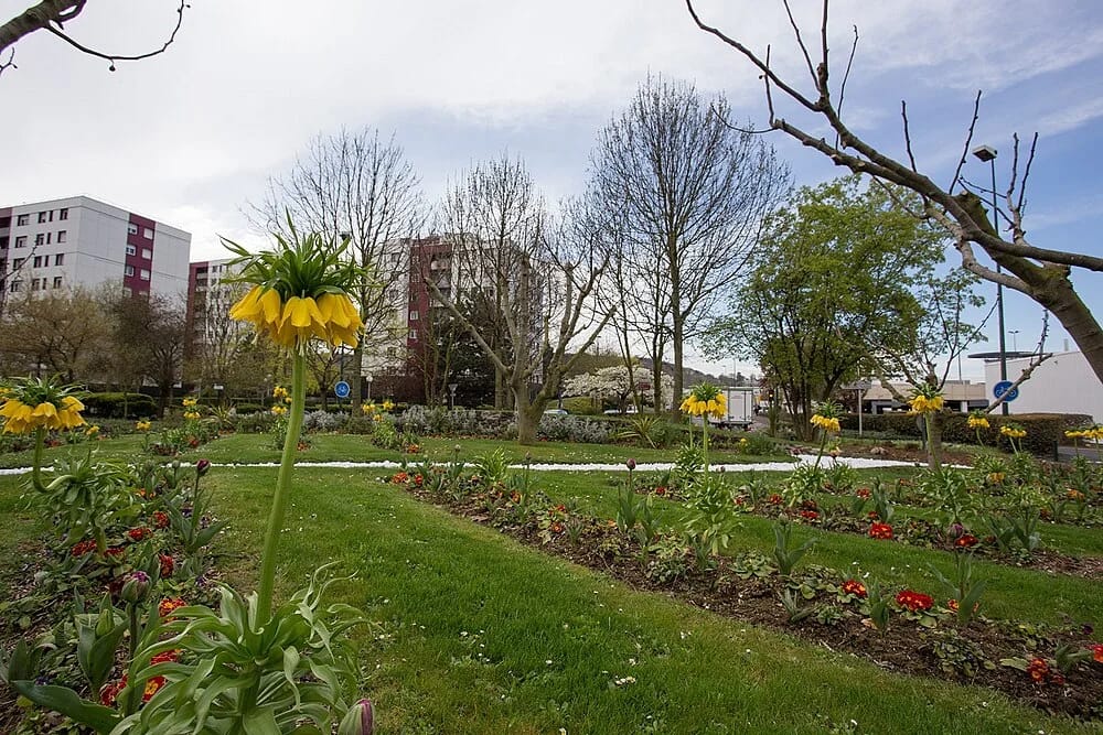 Panneaux solaires à Montigny-lès-Cormeilles