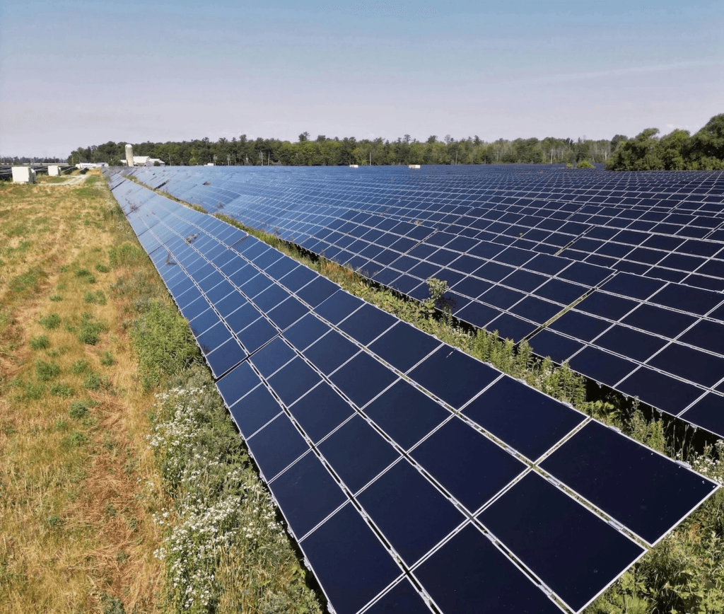 panneaux solaire sur un terrain (agrivoltaïque ou agri-photovoltaïsme). Combien rapportent des panneaux solaires à l'hectare ?