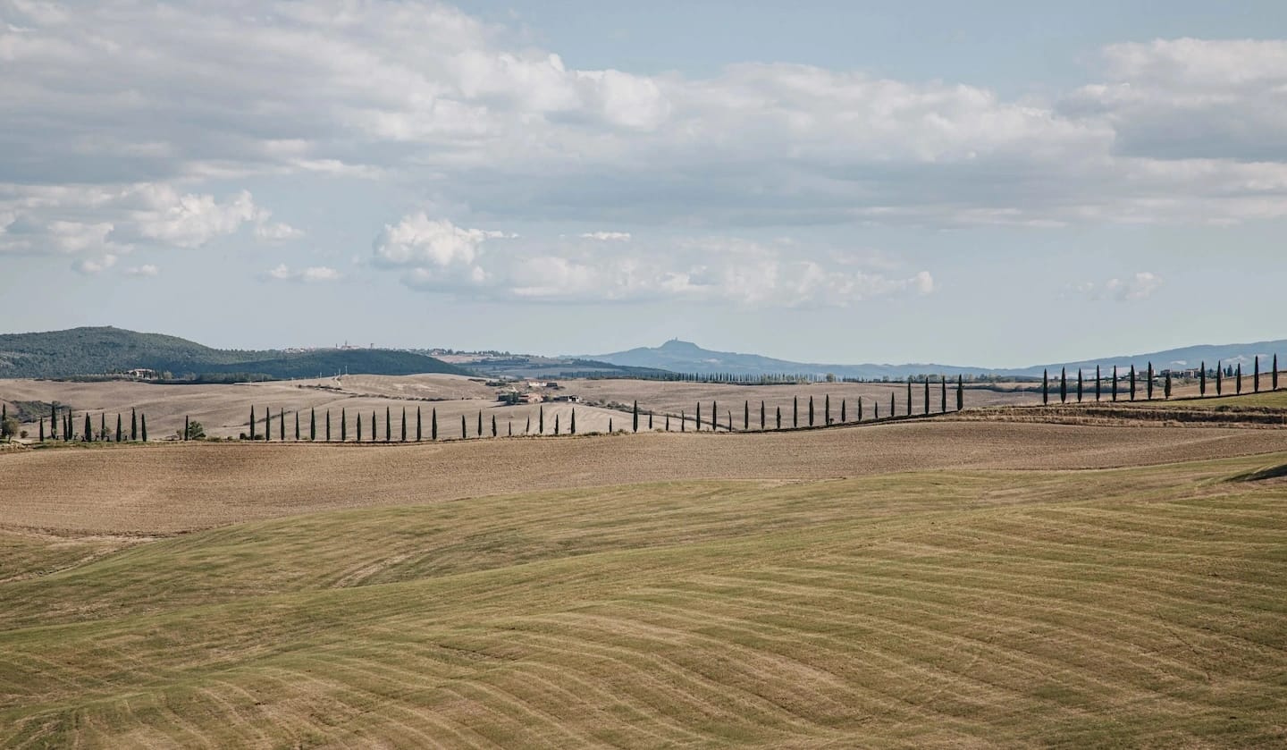 illustation d'un terrain agricole pouvant accueillir des panneaux solaires.