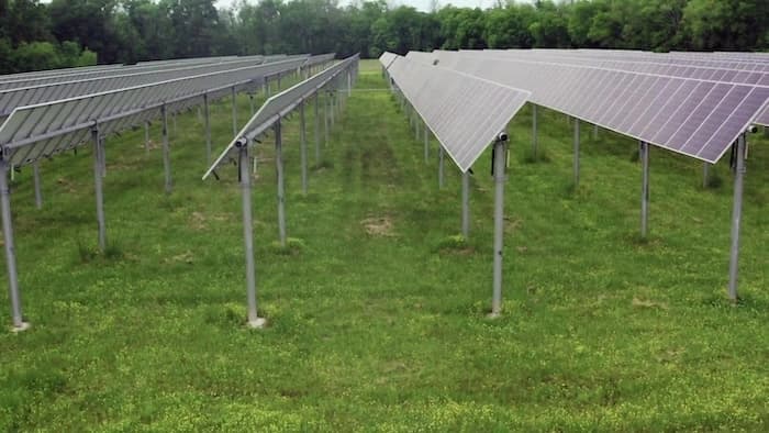 video of the hero section