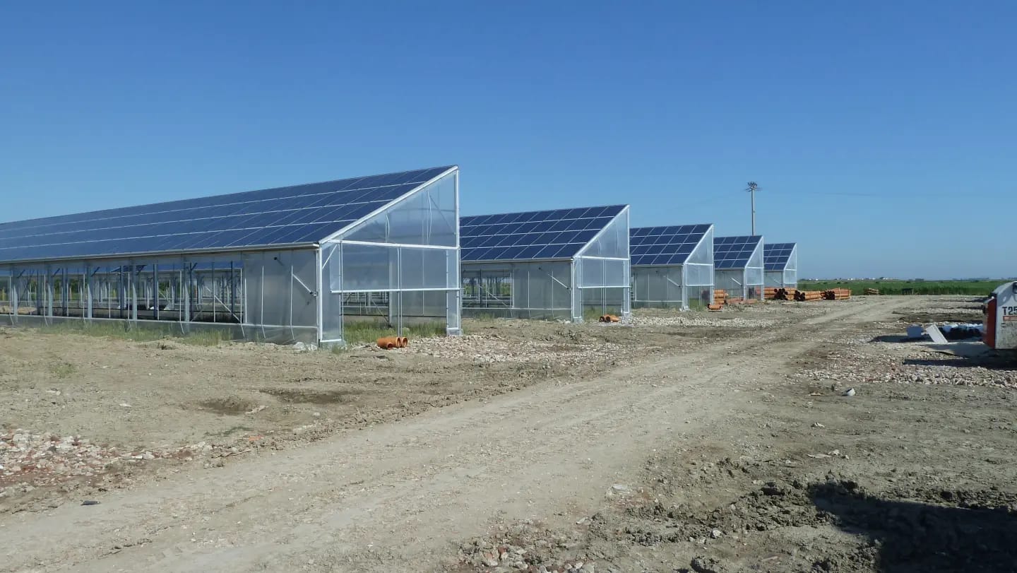 Illustration d'une serre photovoltaïque avec panneaux solaires sur le toit.