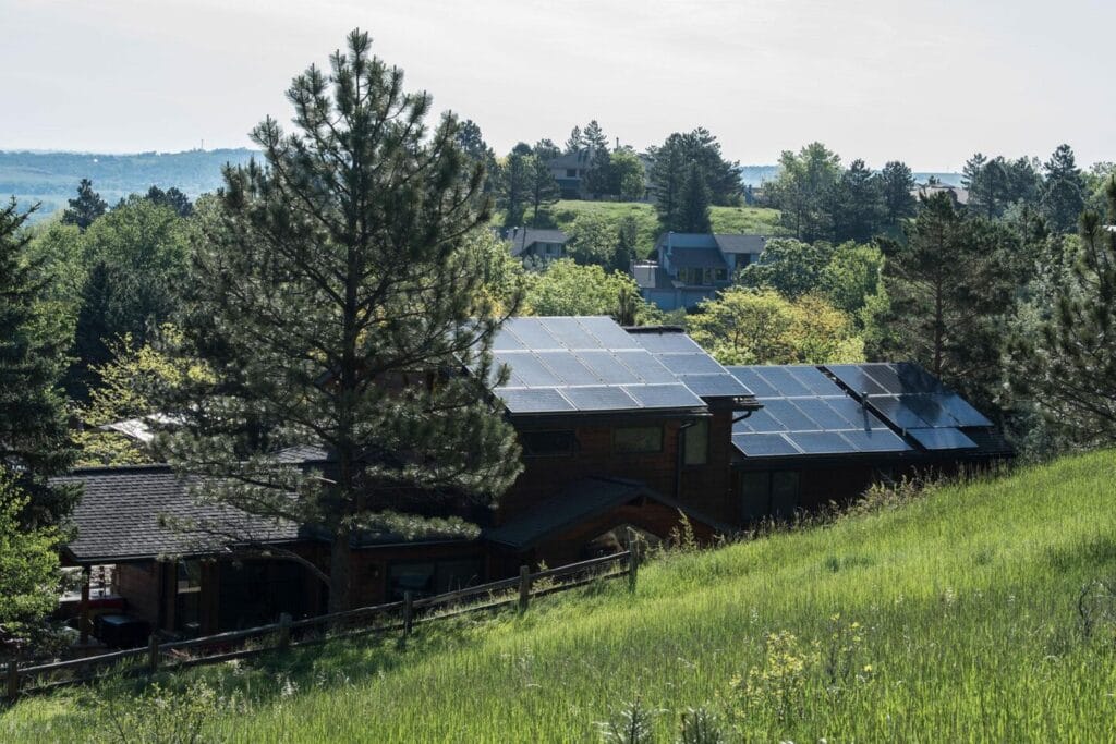Arbre faisant de l'ombre à des panneaux solaire