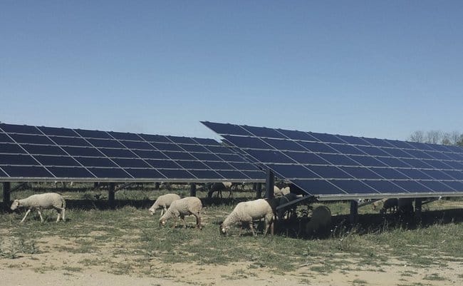 Panneaux solaire à table fixe