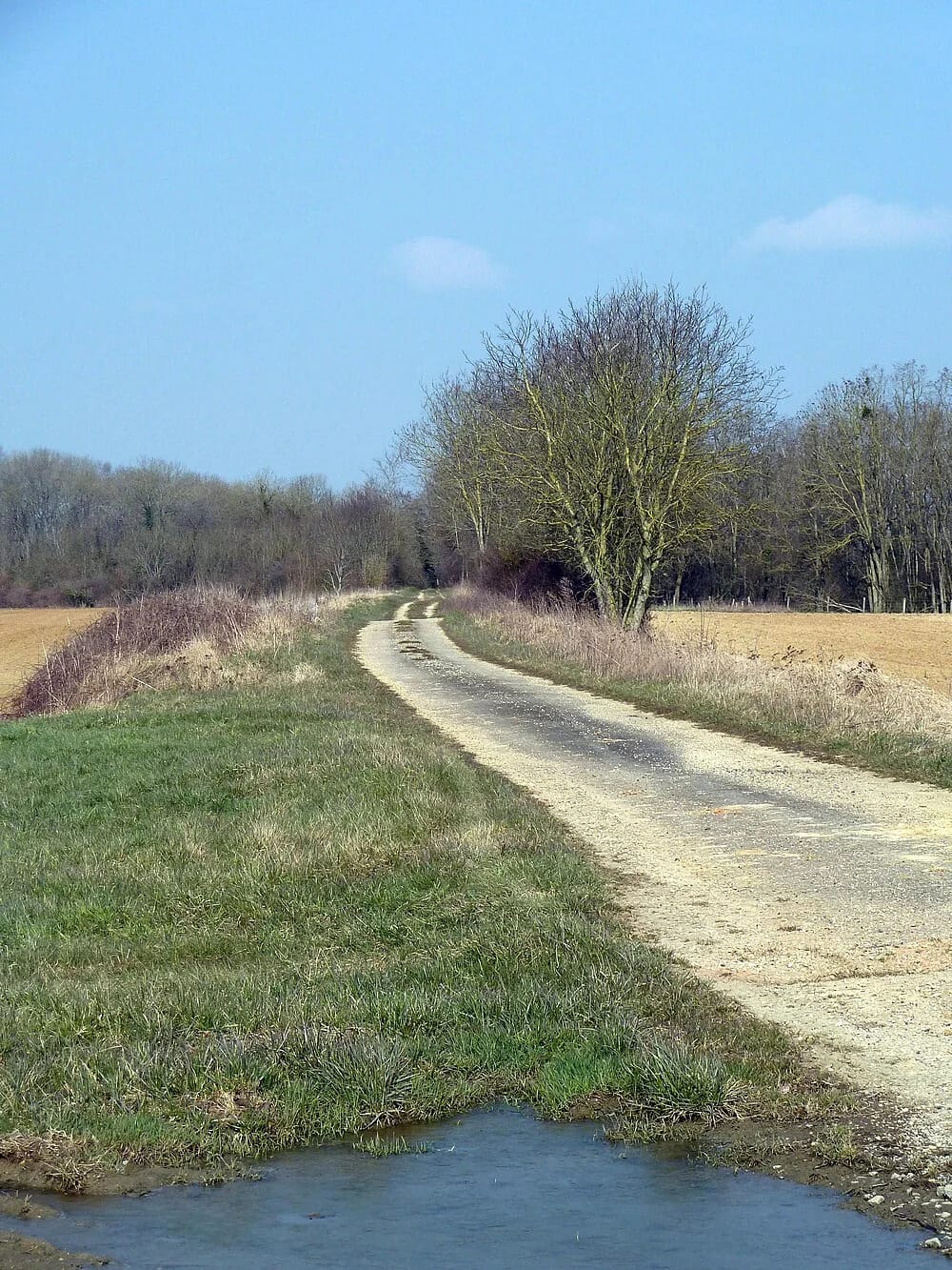 Panneaux solaires à Villers-aux-Vents