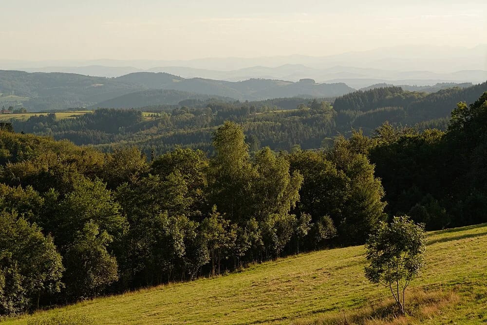Panneaux solaires à Celles-sur-Durolle