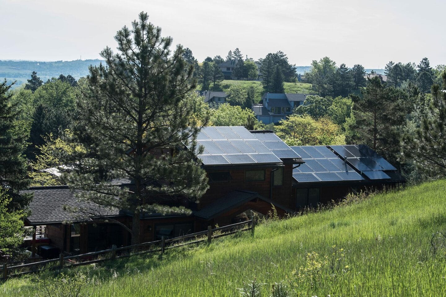 Arbre faisant de l'ombre à des panneaux solaire