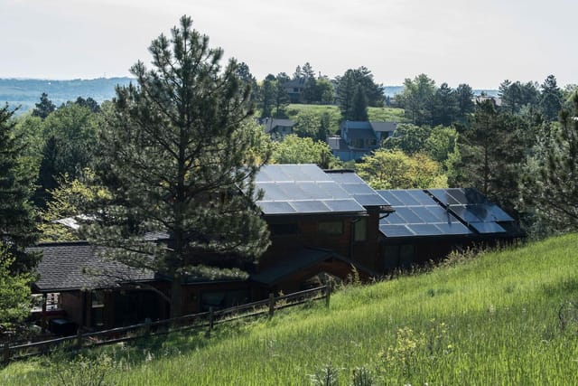Arbre faisant de l'ombre à des panneaux solaire